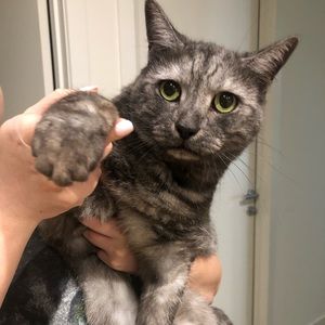 Meet your Posher, Erin